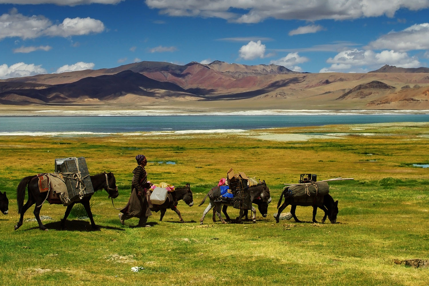 The Timeless Beauty of Tibetan Ornaments in Modern Living