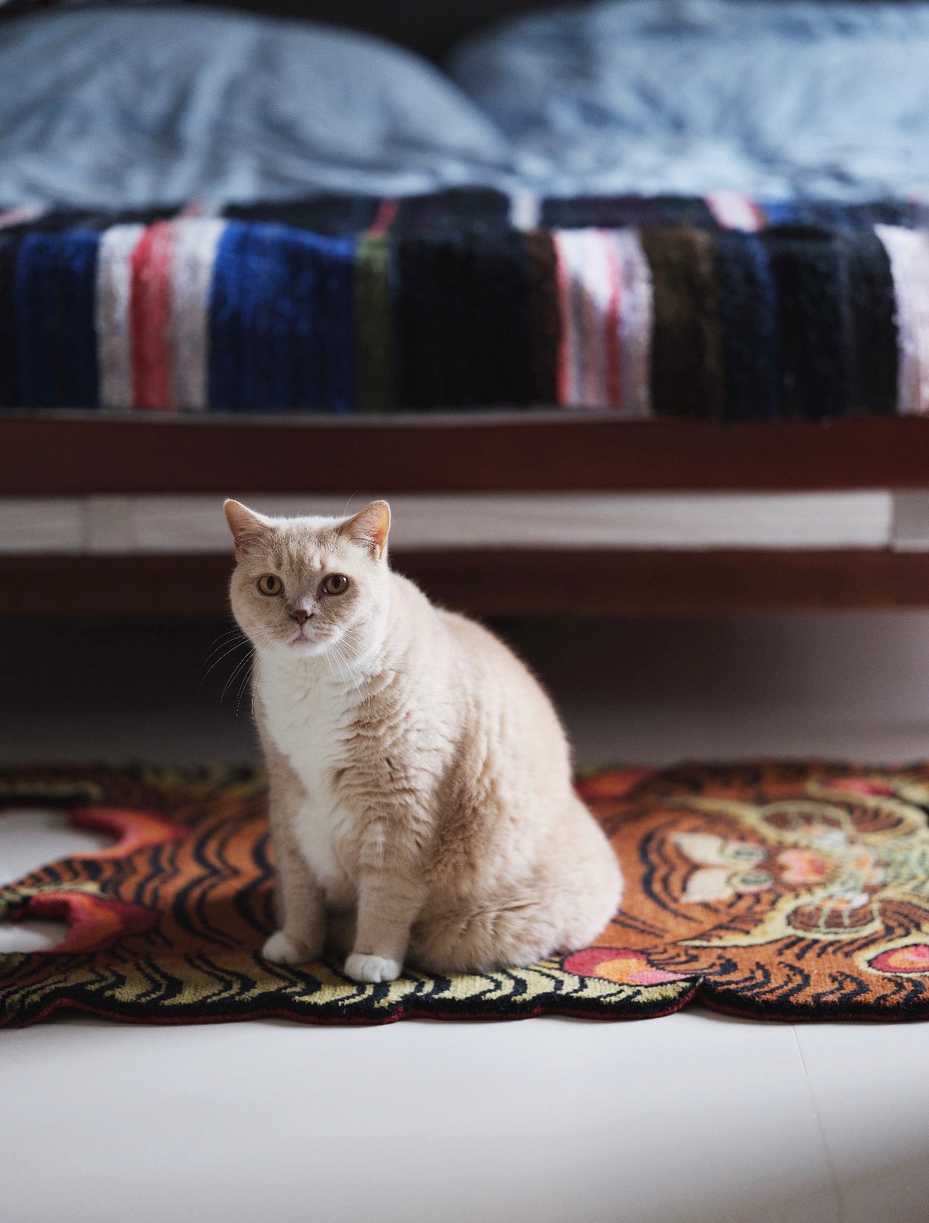 Vintage Tibetan Tiger Skin Rug Hand Tufted Wool 2-in-1 Decor, Floor Carpet & Wall Hanging Tapestry 70x140cm